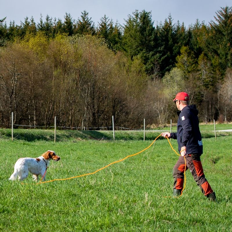 Hundehotell m/trening